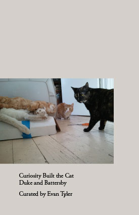Duke and Battersby - Curiosity Built the Cat